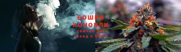 гидра Горно-Алтайск