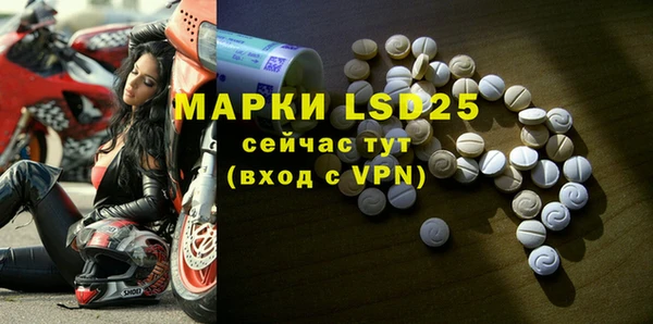 прущие крисы Горняк