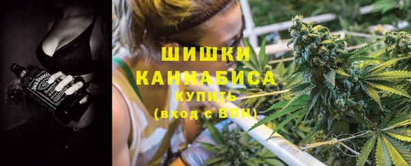 мдпв Зеленодольск