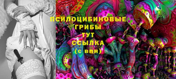 шишки Алексеевка