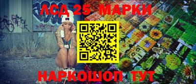 гидропоника Бердск