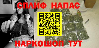 СК Белореченск