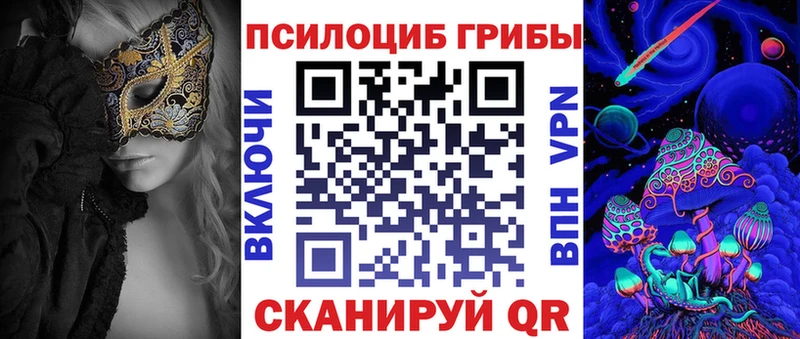 Галлюциногенные грибы Psilocybine cubensis  магазин  наркотиков  это наркотические препараты  Борзя 
