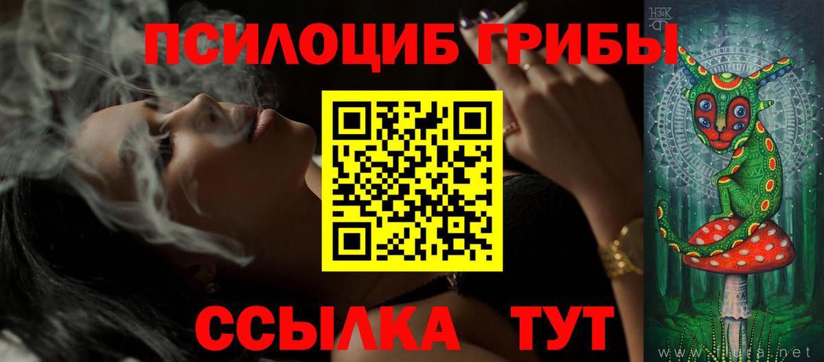 Галлюциногенные грибы MAGIC MUSHROOMS Борзя