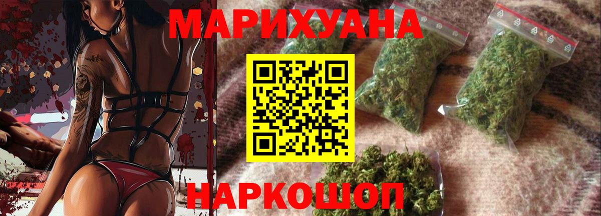 Конопля сатива Борзя